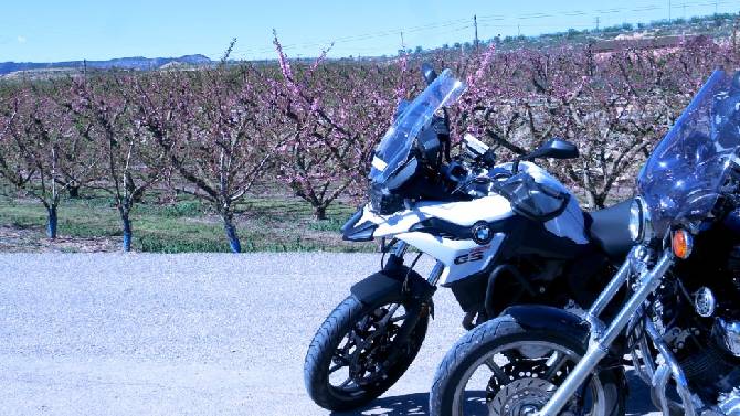 Ruta floració Cal Macià